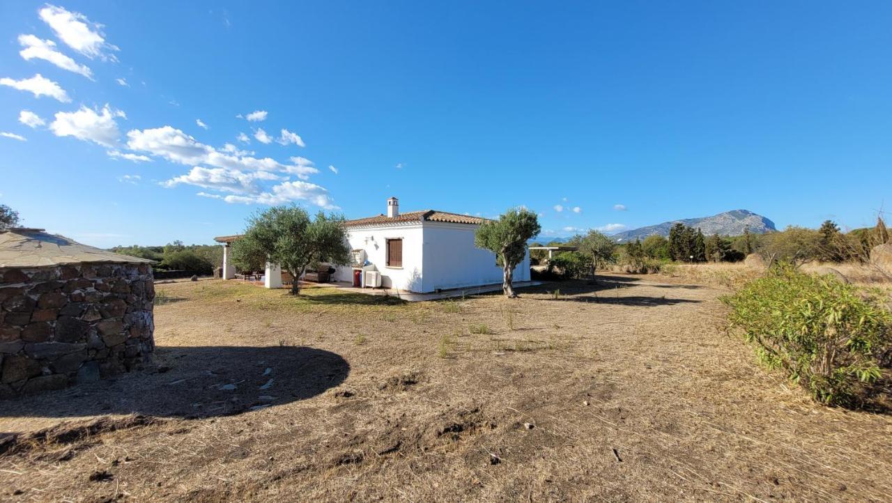 Villa Casa Mate Орозеи Экстерьер фото