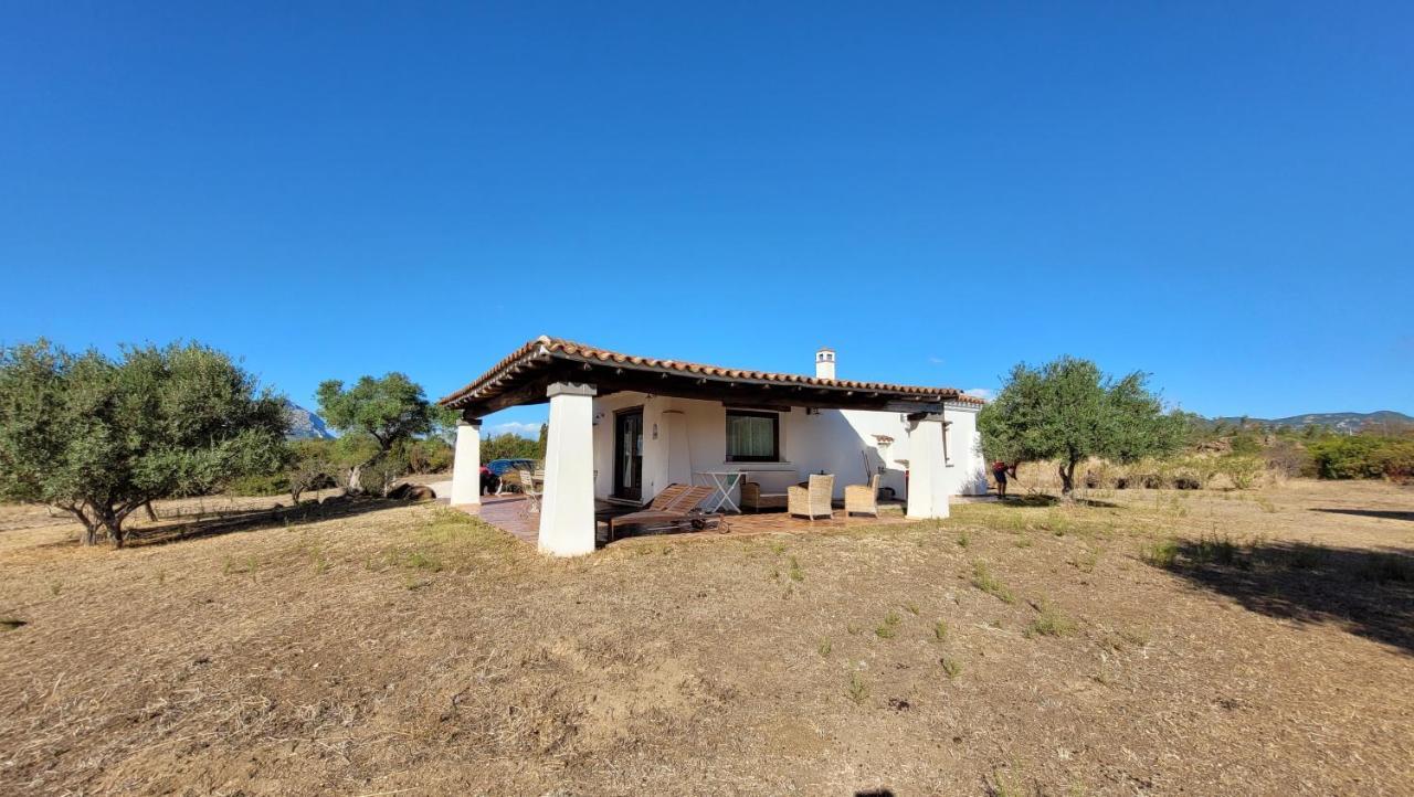 Villa Casa Mate Орозеи Экстерьер фото